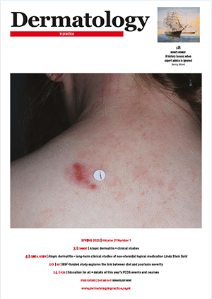 cover image of the current DIP issue